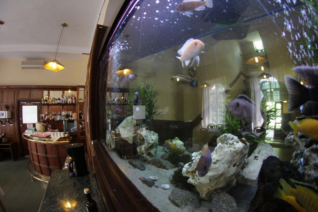 Hotel Omnibusz Budapest Bagian luar foto