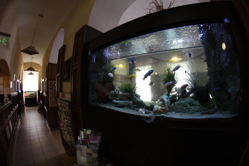 Hotel Omnibusz Budapest Bagian luar foto
